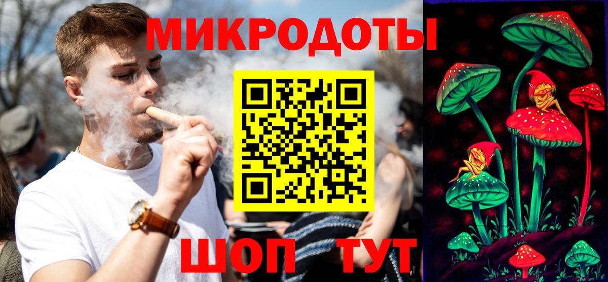 Псилоцибиновые грибы Psilocybe Дзержинский
