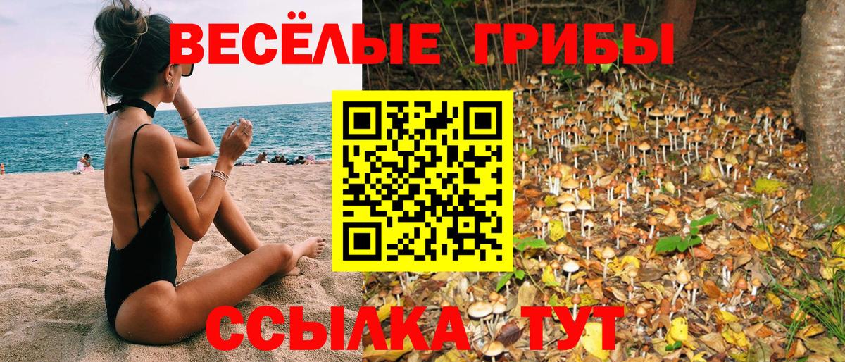 Псилоцибиновые грибы Magic Shrooms  Вход с VPN  Дзержинский 