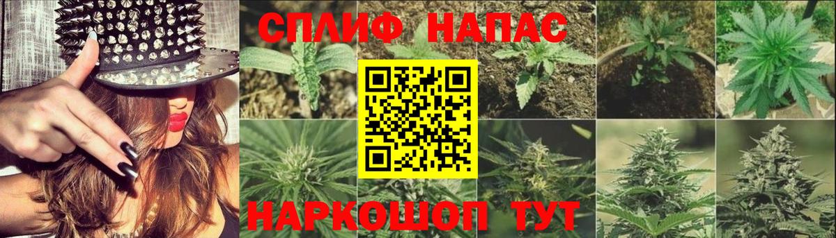 Дзержинский  Канабис AK-47  Вход с VPN  Бошки Шишки ГИДРОПОН 